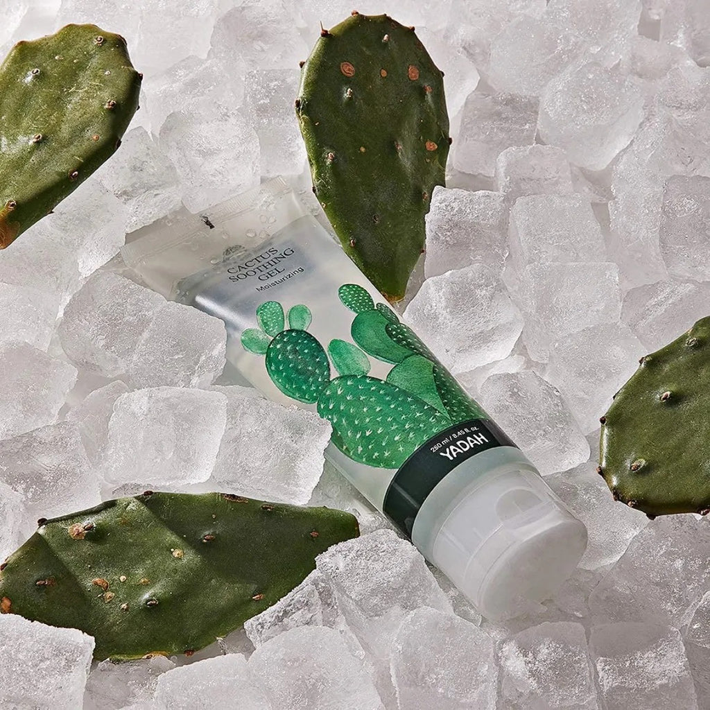 Yadah Gel Calmante Cactus Hidratante 250ml