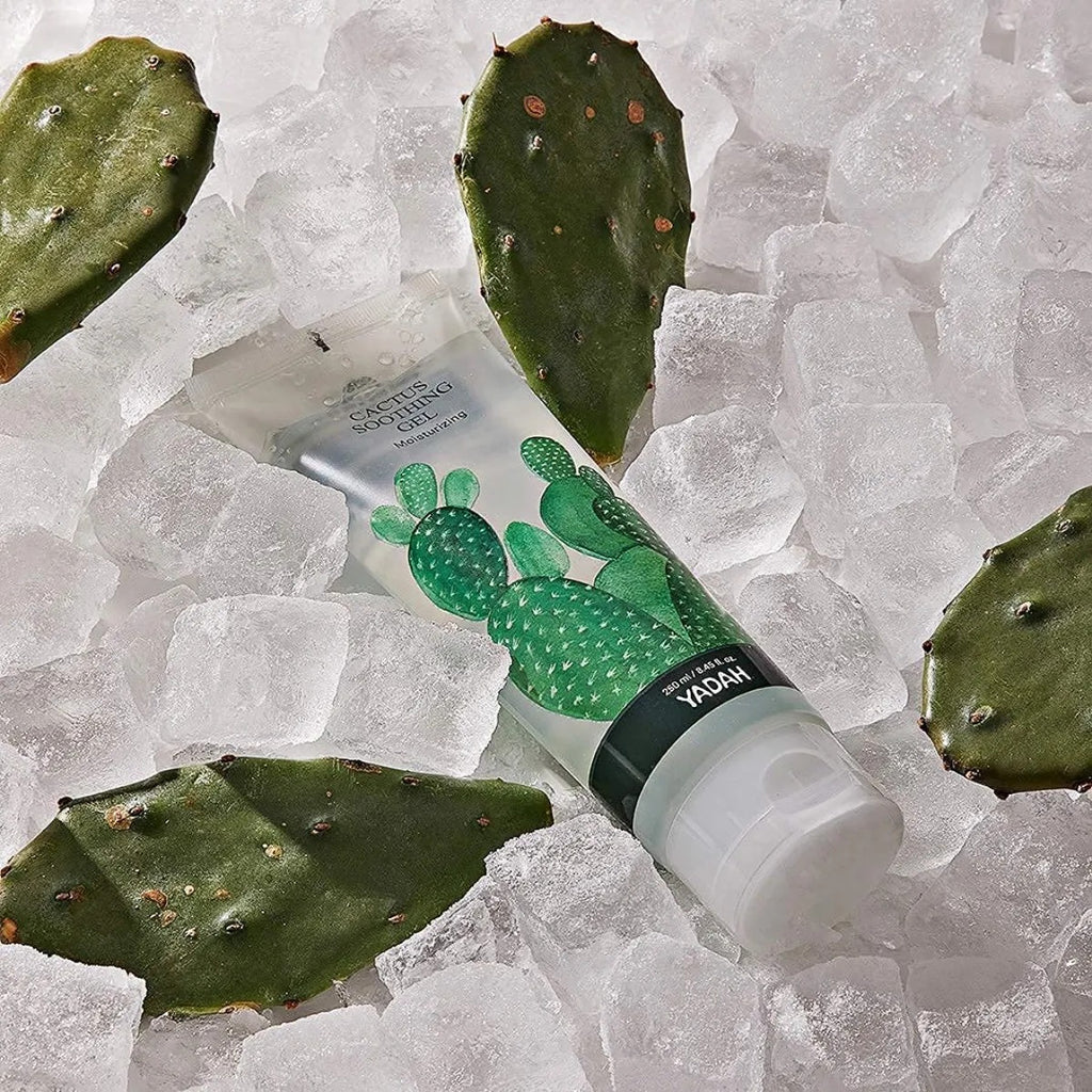 Yadah Gel Cactus 500ml Hidratante Refrescante