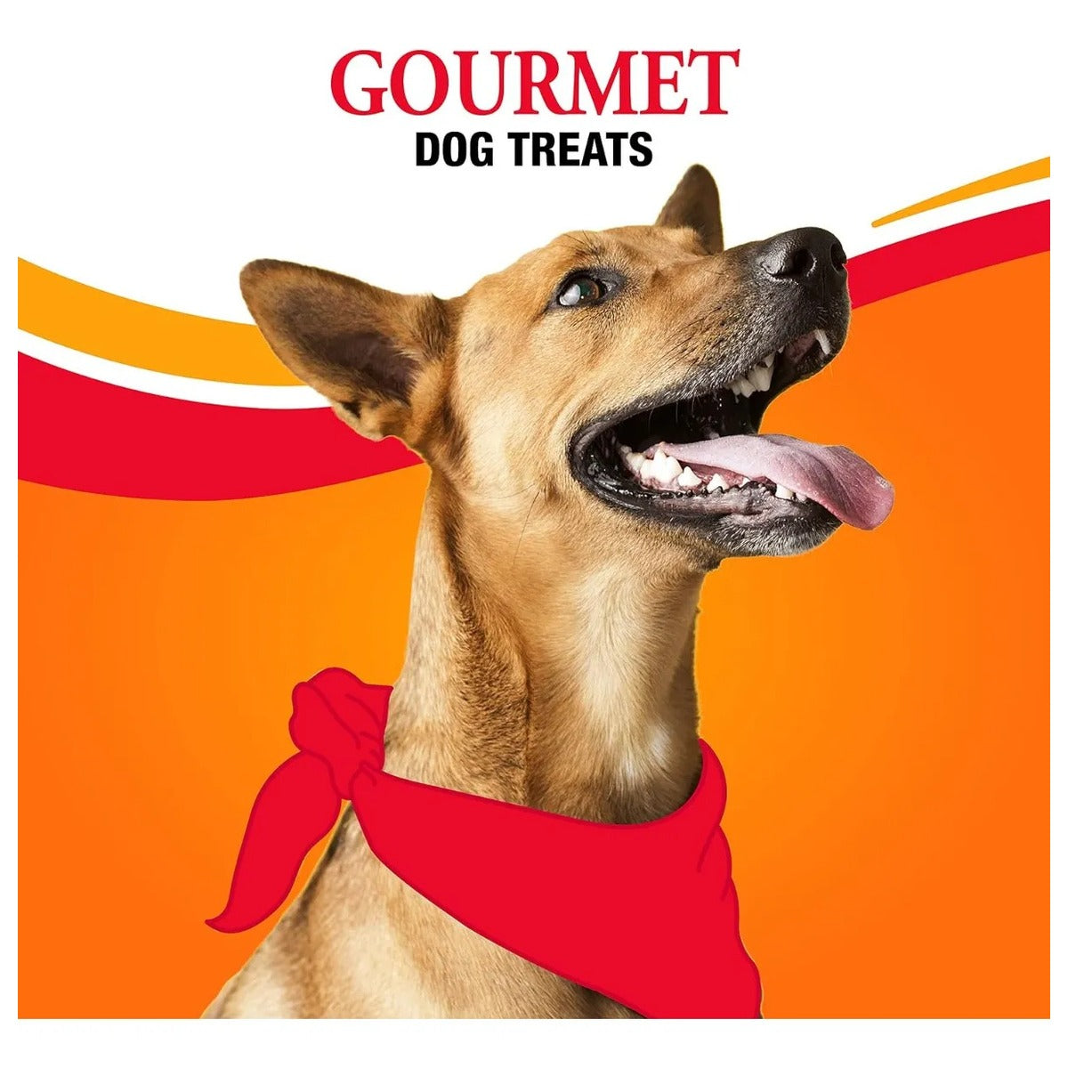 Goodnfun Kabobs Perro Pack 2 113g Triple Sabor Snack Treats
