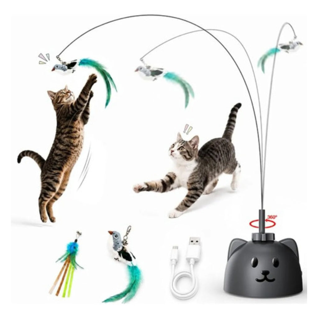 Juguete Interactivo Gato Catpick Pluma Voladora Recargable