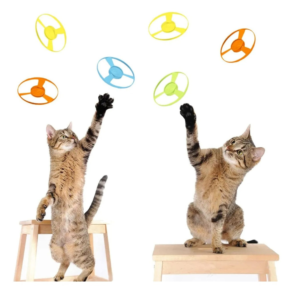 Juguete Interactivo Gato 12 Piezas Hélices Coloridas Entrena