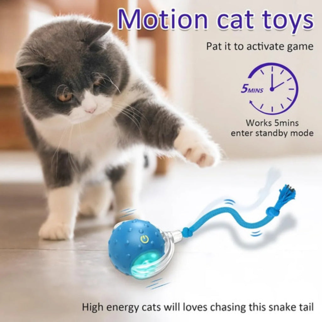 Giociv Pelota Gatos Interiores Chirrido Juguete Interactivo