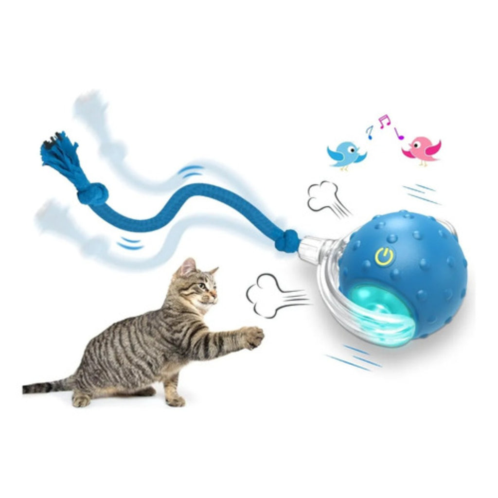 Giociv Pelota Gatos Interiores Chirrido Juguete Interactivo