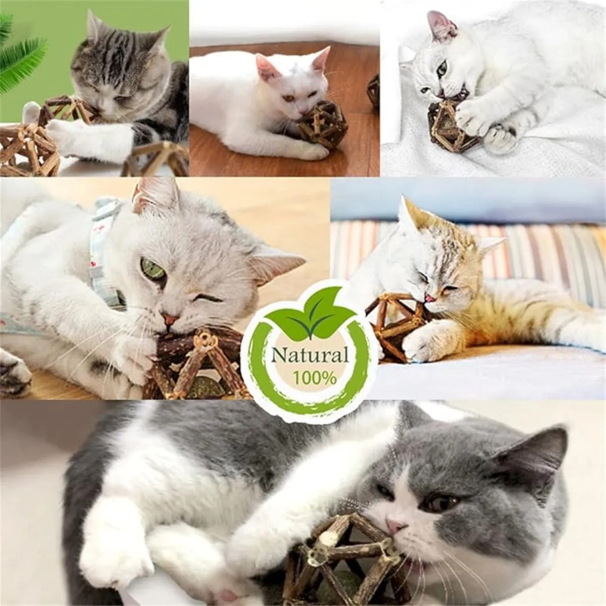 Gochanmon Juguetes Para Gato Natural 2 Bolas Matatabi Dental