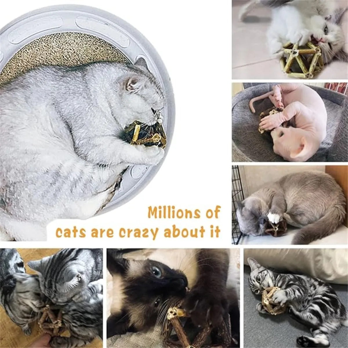 Gochanmon Juguetes Para Gato Natural 2 Bolas Matatabi Dental