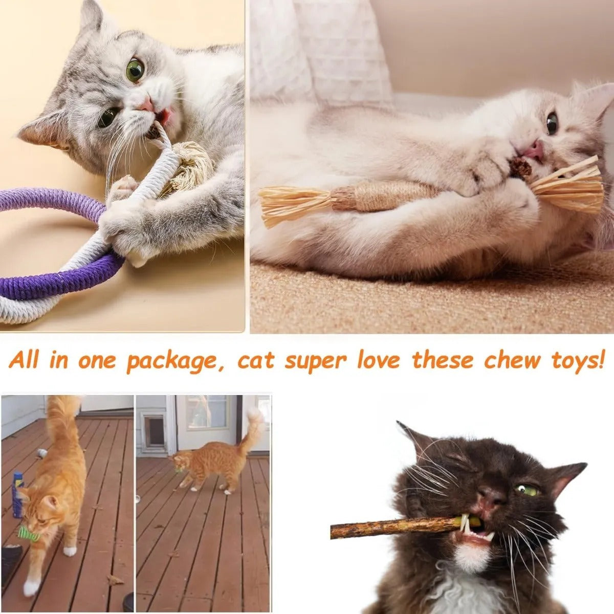 Juguetes Interactivos Palitos Itplus Gatos Catnip Resorte