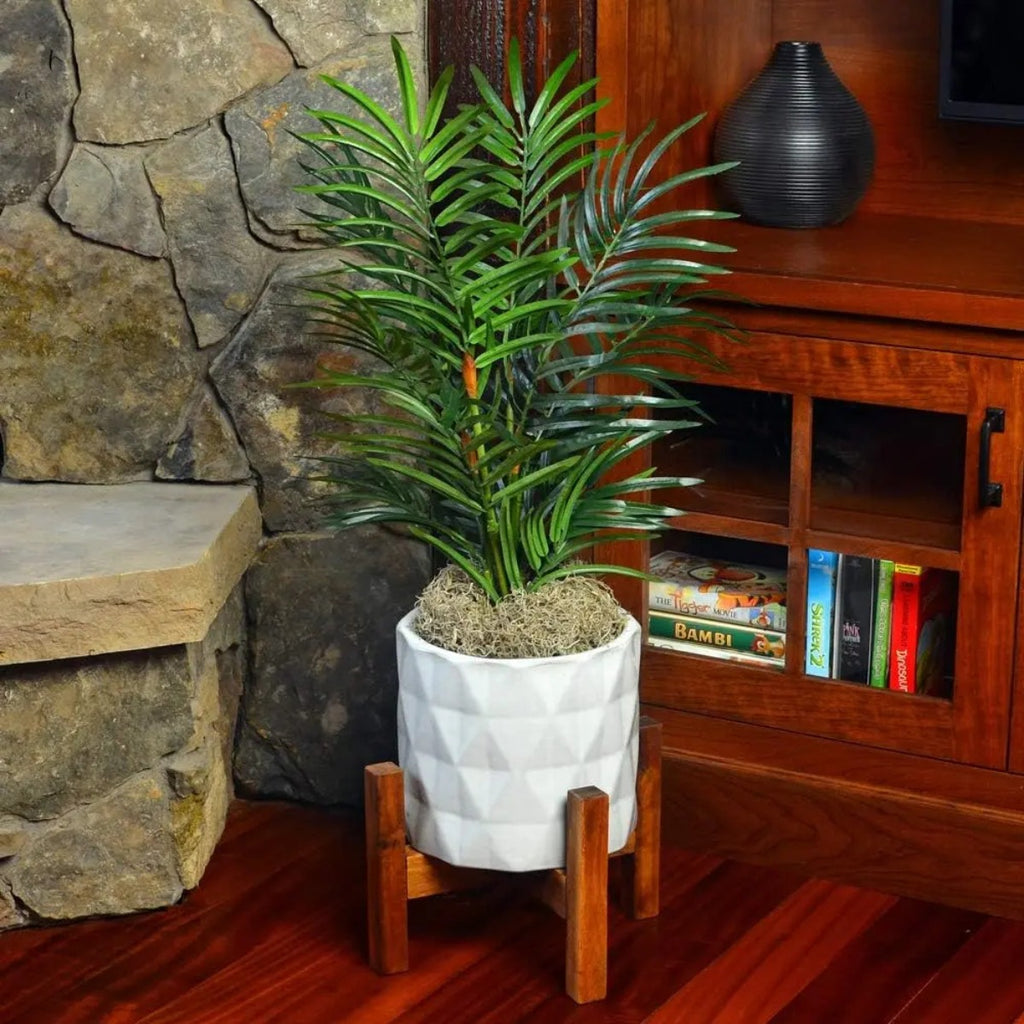 Mosser Lee Ml0560 Musgo Español Cultivo 250 Pulgadas Cúbicas