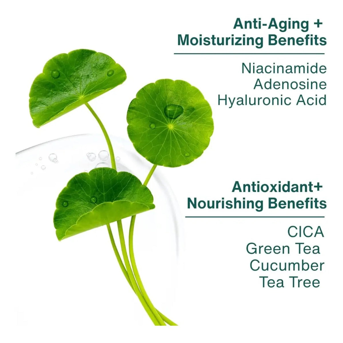 Parche Facial Hidrogel Hidratante Vegano Coreano