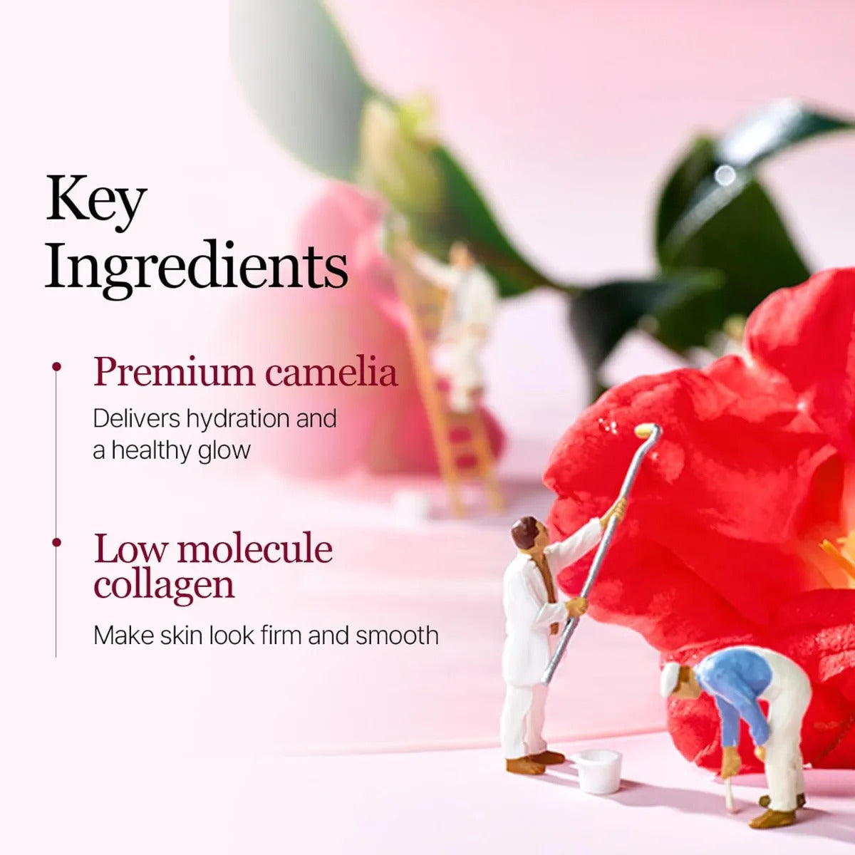 Round Lab Mascarilla Facial Colágeno Camelia 4 Piezas